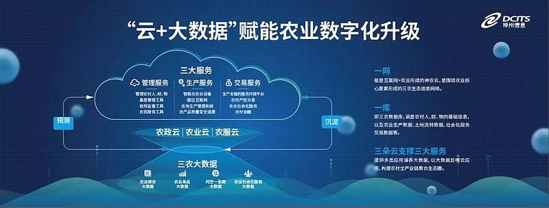 证券时报丨神州信息郭为 不是做互联网，是用大数据赋能农业升级