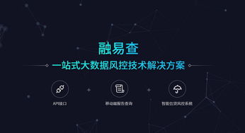 融易查 引领互联网时代大数据风控技术的数据服务